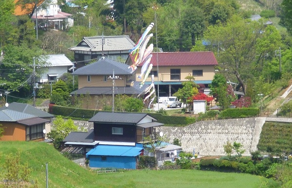 Koinobori Fot. Hanna Kazahari