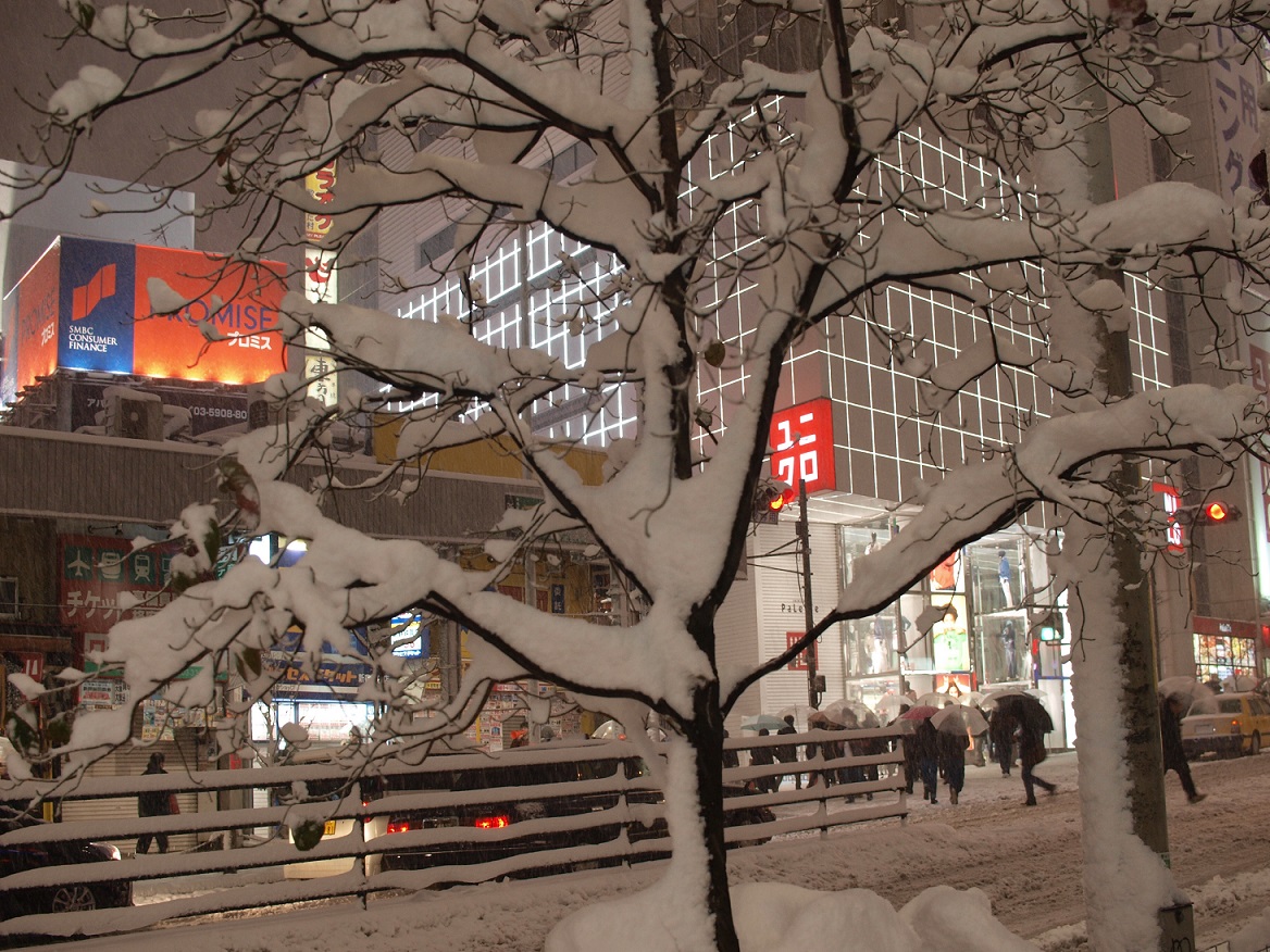 Zima w Tokio